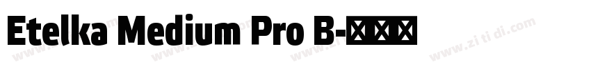 Etelka Medium Pro B字体转换 Etelka Medium Pro B字体转换